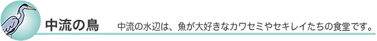 中流のとり