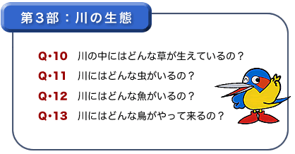 第3部：川の生態