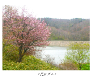 1ダムさくら