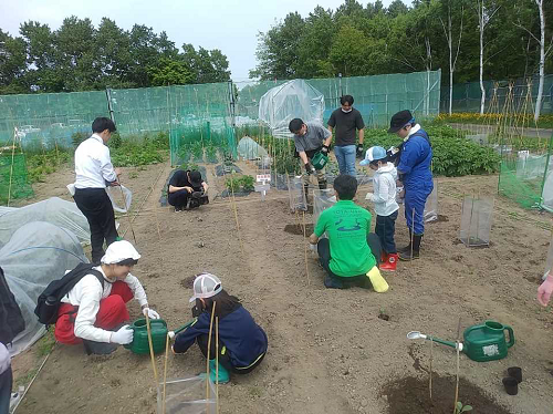 植栽による環境保全と歴史見学ツアー