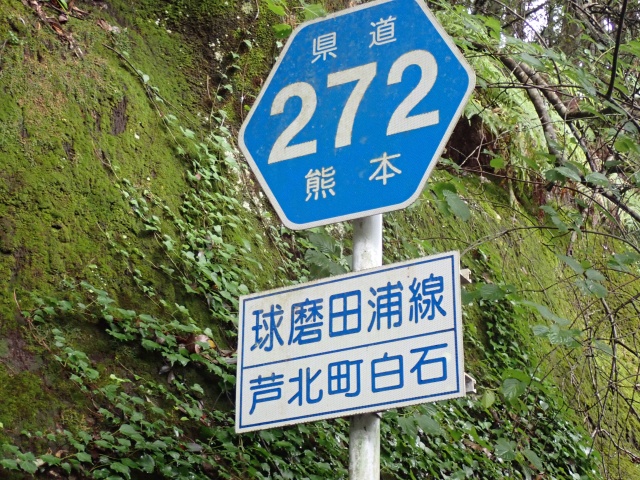 調査している道路名