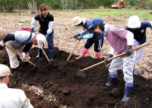 北海道教育委員会の試掘調査状況