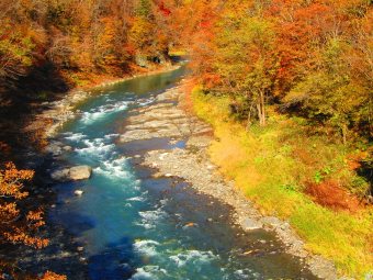 三岡橋からの紅葉の写真2