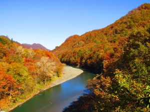 三岩橋からの紅葉の写真