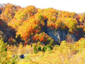 竜門橋からの紅葉の写真