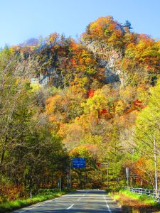 三岡橋からの紅葉の写真1