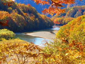 岩内園地の紅葉の写真