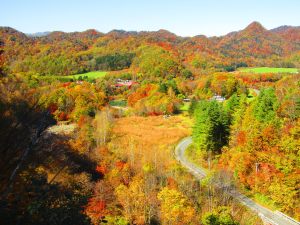 竜門橋からの紅葉の写真