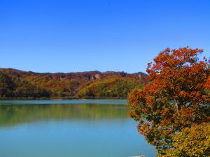 にぶたに湖の紅葉の写真