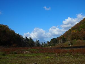 大平原の写真