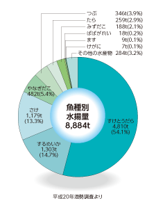 様似漁港魚種別