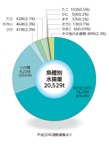 追直漁港魚種別