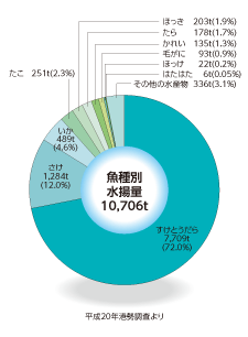 登別漁港魚種別