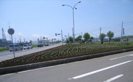 活動状況