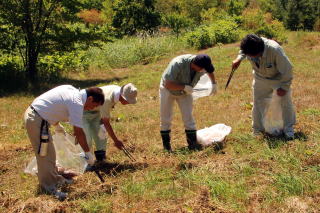 熱心に作業する参加者