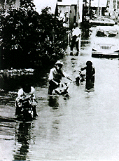 帯広川の溢水氾濫により湖と化した住宅街（帯広市西13条南2丁目付近）