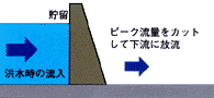 洪水の時は水を貯めます。