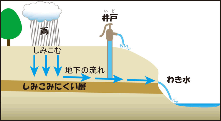 足もとに落ちた雨のゆくえと川 1 流れない水はどうなるの 1 しみこむ 帯広開発建設部