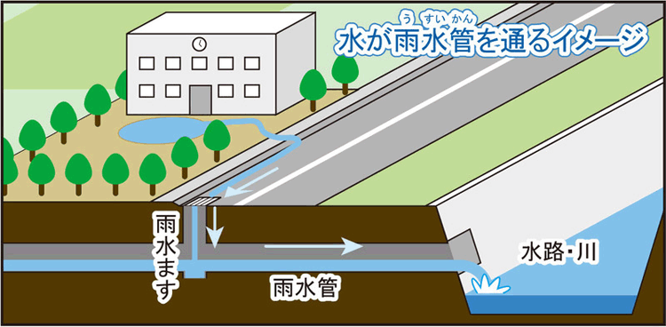 足もとに落ちた雨のゆくえと川 3 流れる水はどこへ行くの 2 雨水ますへ 1 帯広開発建設部