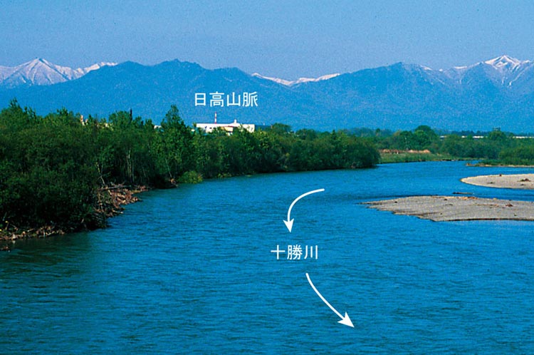 足もとに落ちた雨のゆくえと川 4 川を流れる水はどこから来るの 帯広開発建設部