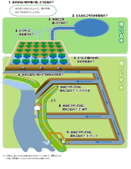 畑にいる水