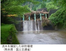 流木を捕捉した砂防堰堤(熊本県：国土交通省)