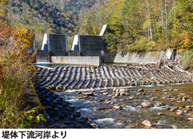 堤体下流河岸