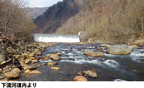 下流河道内より