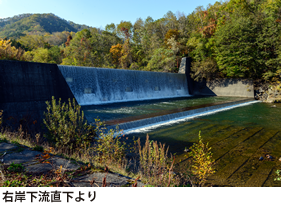 右岸下流直下より