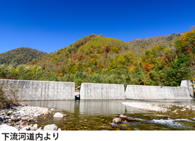 下流河道内より