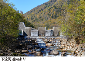 下流河道内より