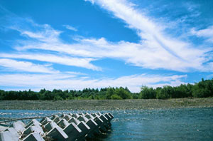 夏の雲と水制工 愛国大橋上流