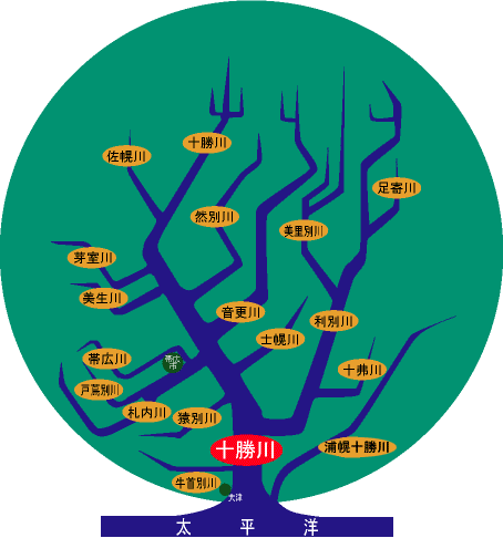 図