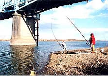 橋のしたで釣りをしている写真