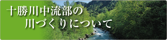 十勝川中流部の川づくりについて