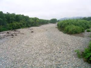 画像[上札内橋]