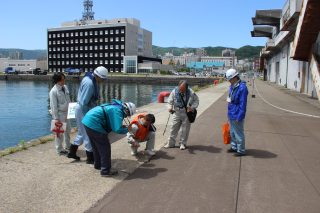 5月29日小樽港における点検の様子
