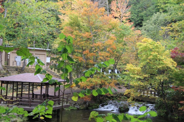 秋のふきだし公園（京極町）