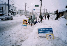 ボランティア活動による投雪写真