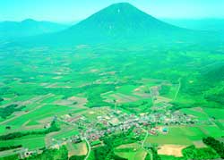 留寿都村の航空写真