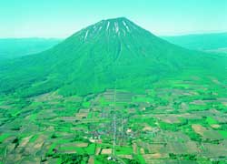 真狩村の航空写真