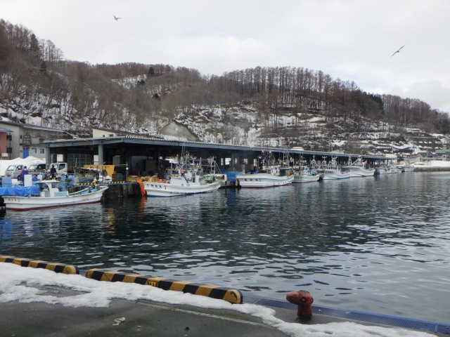 古平漁業