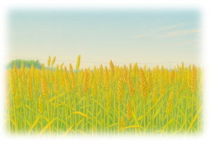 留萌・麦で地域をチェンジする会 