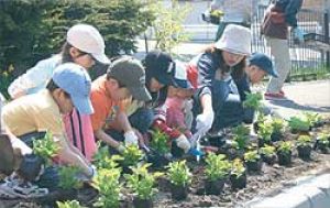 子供たちの花植え