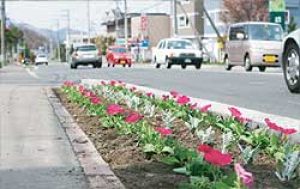 花が満開の花壇