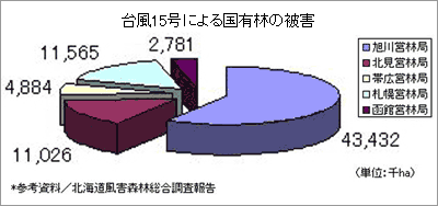 台風15号による国有林の被害