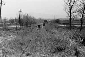 夕張鉄道の路線撤収の跡。昭和56年（南幌町蔵）