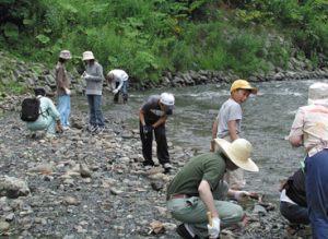 化石産地では発掘体験が行われている