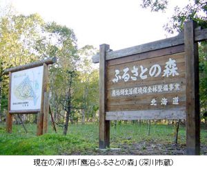 現在の深川市「鷹泊ふるさとの森」