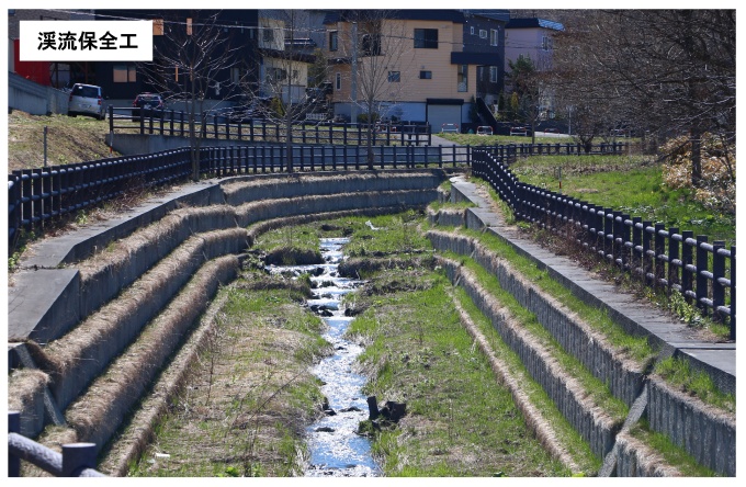 南の沢川渓流保全工の写真